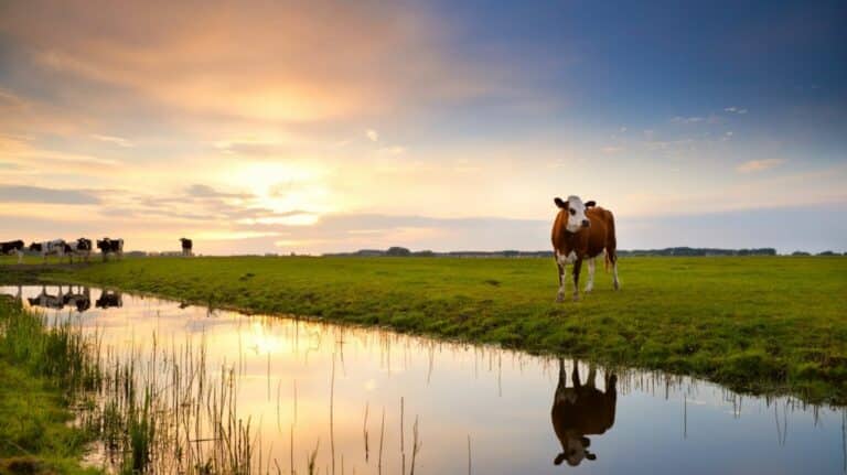 Inschrijving kavelruilovereenkomst nodig voor vrijstelling