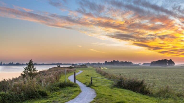 Trek geen transactiekosten af van werkelijk rendement box 3