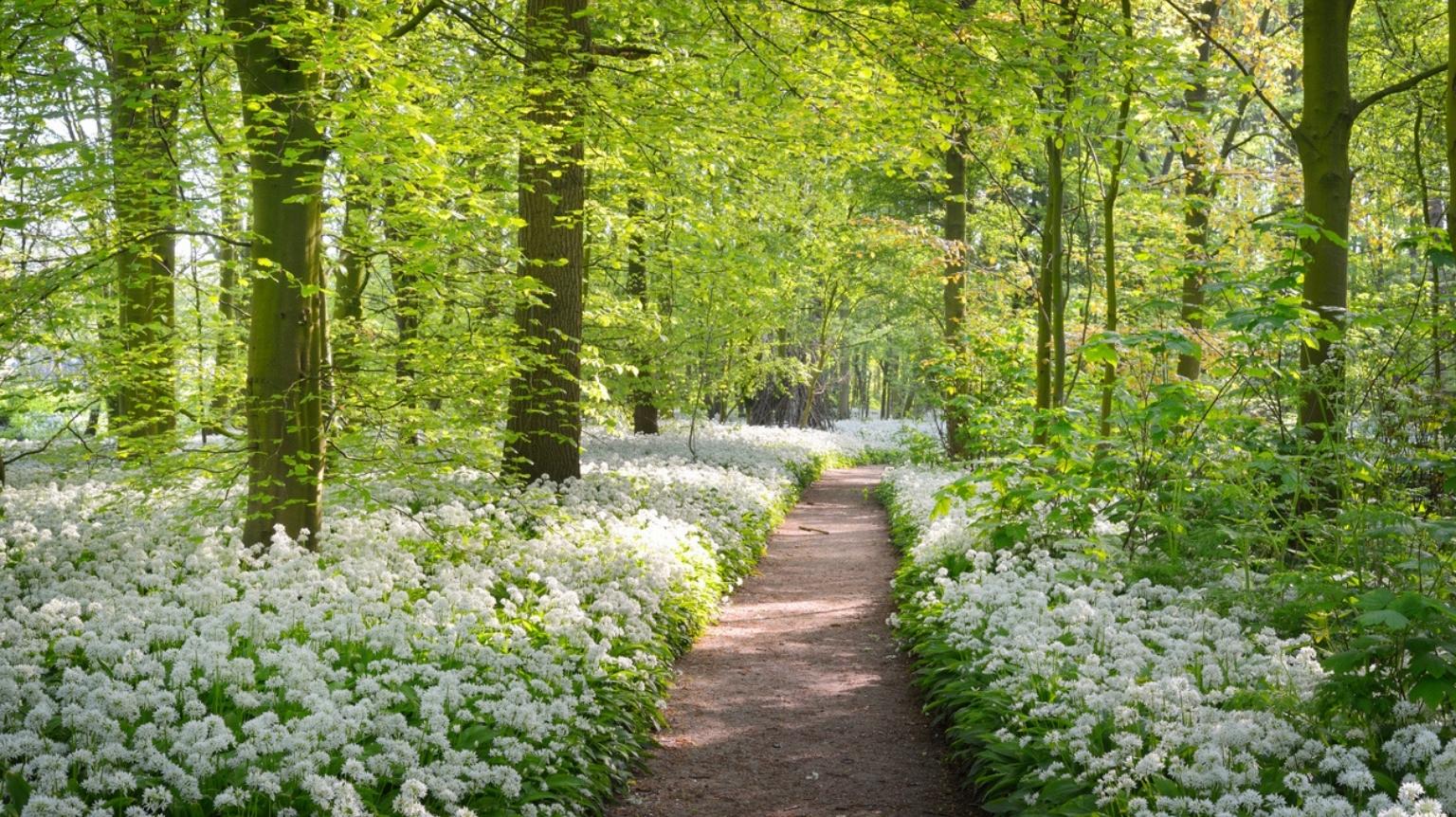 Verteerkosten kunnen zakelijk en dus aftrekbaar zijn