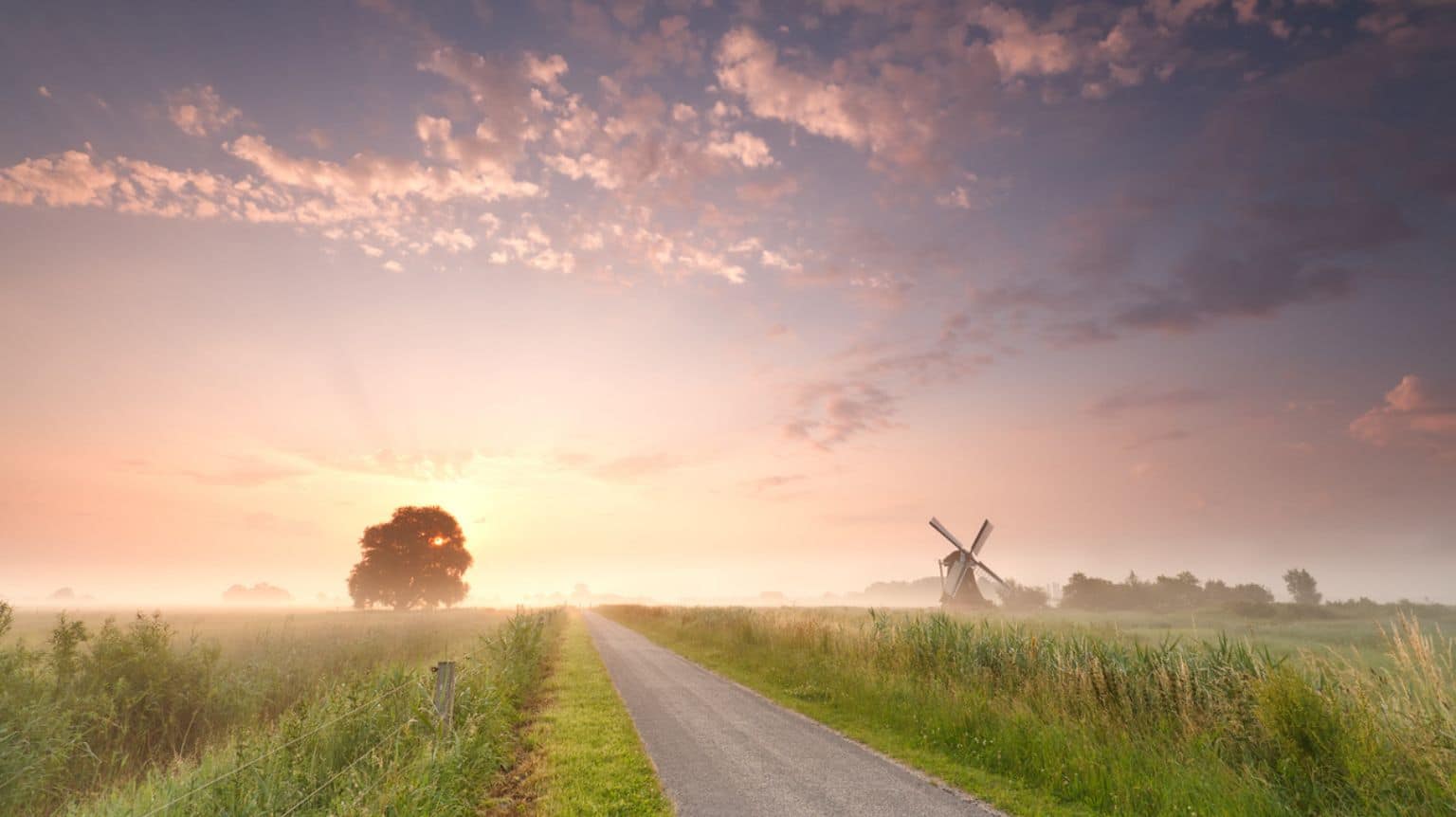 Ongelijk aandelenbelang leidt tot verzekeringsplicht