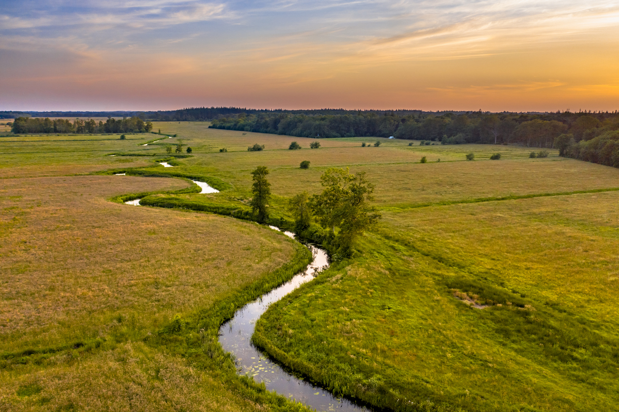 Bedrijfsopvolging en vastgoed in de holding? Dit moet u vóór 1 juli geregeld hebben | Newtone