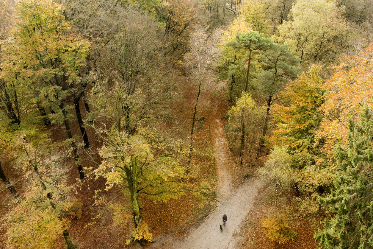 Per 1 juli stijgt het minimumloon met 2,42%. Bekijk wat dit betekent voor uw loonadministratie en waar u als werkgever extra op moet letten.