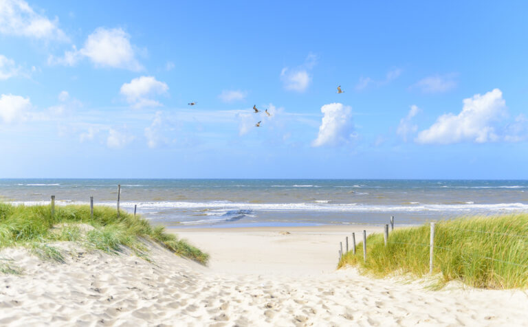 Loontransparantie verplicht vanaf juni 2026: zo bereidt u uw organisatie voor