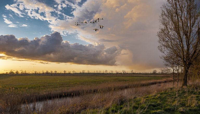 Gaat uw werknemer regelrecht naar de Regelrechter? Wij kunnen u helpen!