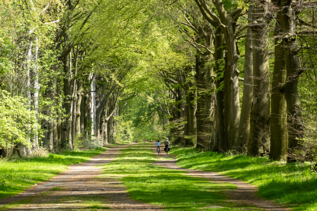 Uw grenswerkers mogen tot 34 dagen thuiswerken zonder fiscale gevolgen. Lees wat dit voor u als werkgever betekent en waar u op moet letten.