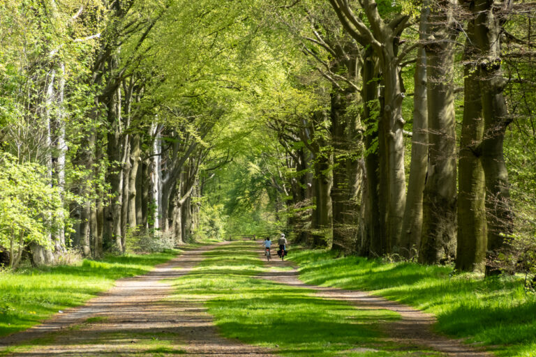 Thuiswerken zonder fiscale zorgen: nieuwe 34-dagenregeling voor grenswerkers Nederland-Duitsland