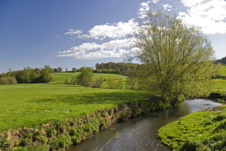 Subsidie Inclusiviteitstechnologie MKB (SIMKB): vergroot vandaag nog uw duurzame inzetbaarheid