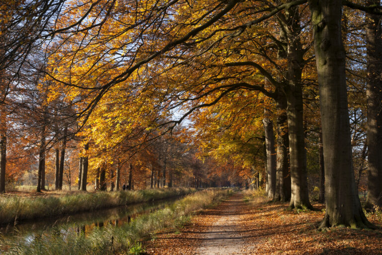 Fiscale eindejaarstips 2025: wat u nu nog kunt doen