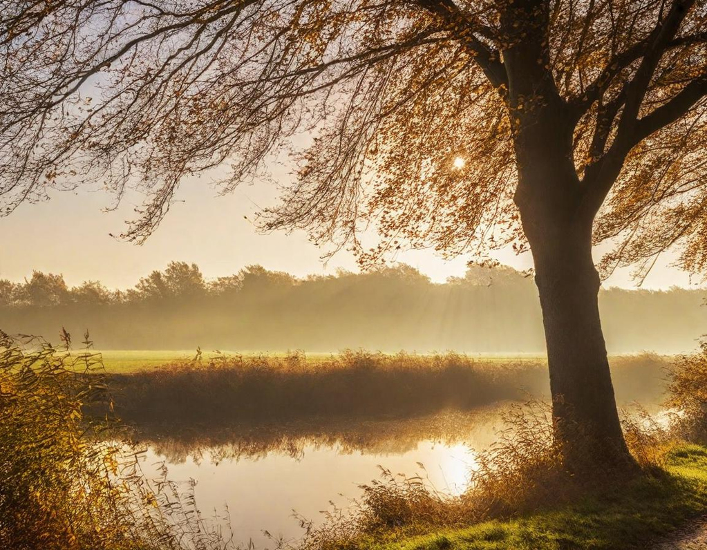 MIA-regeling 2025: behoud uw fiscale voordeel bij nieuwbouw